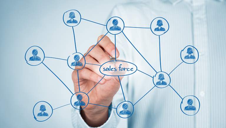 manager e forza vendita