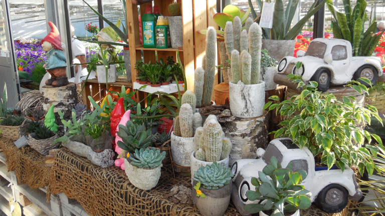 mercato giardinaggio italia