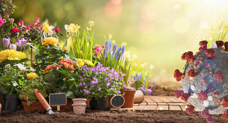 garden center e coronavirus