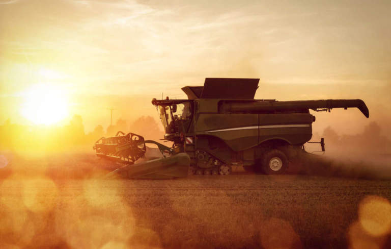 commodity agricole
