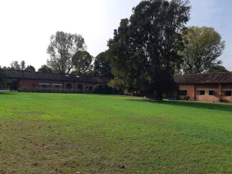 sementi per prato