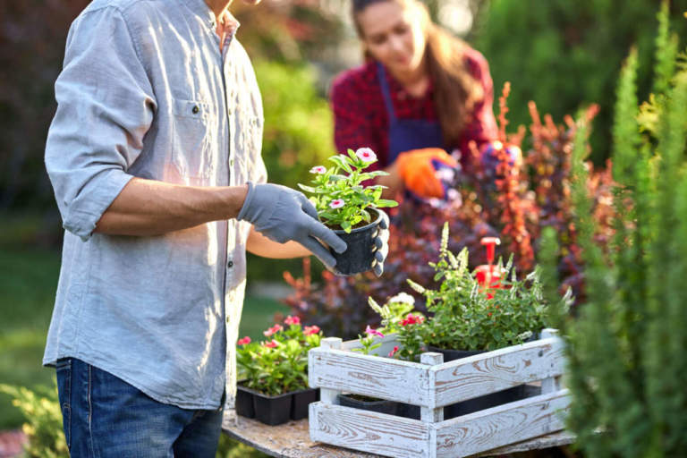 prodotti giardinaggio 2021