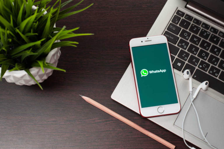 whatsapp business
