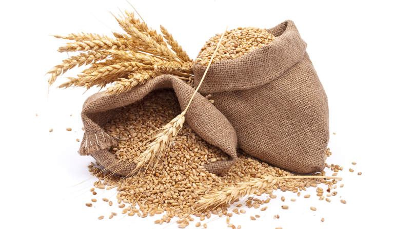 contratti filiera grano duro