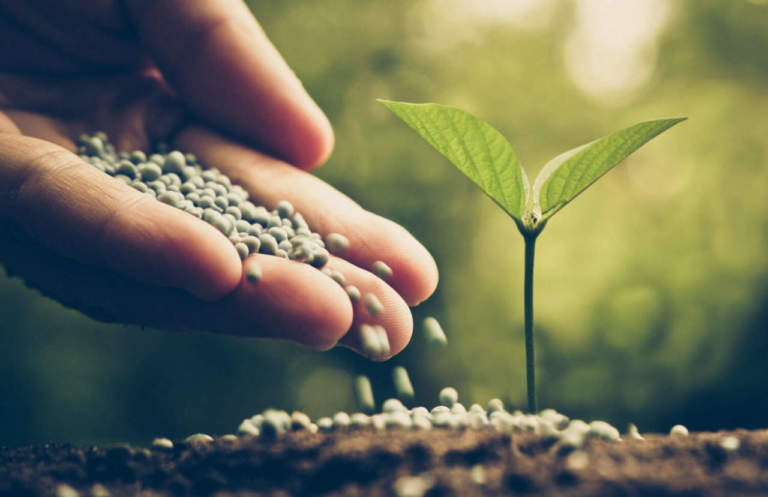 mercato fertilizzanti