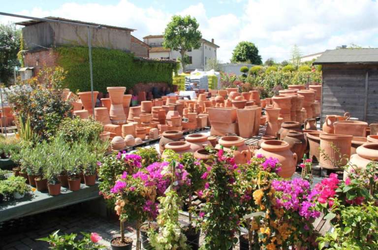 rinnovare garden center