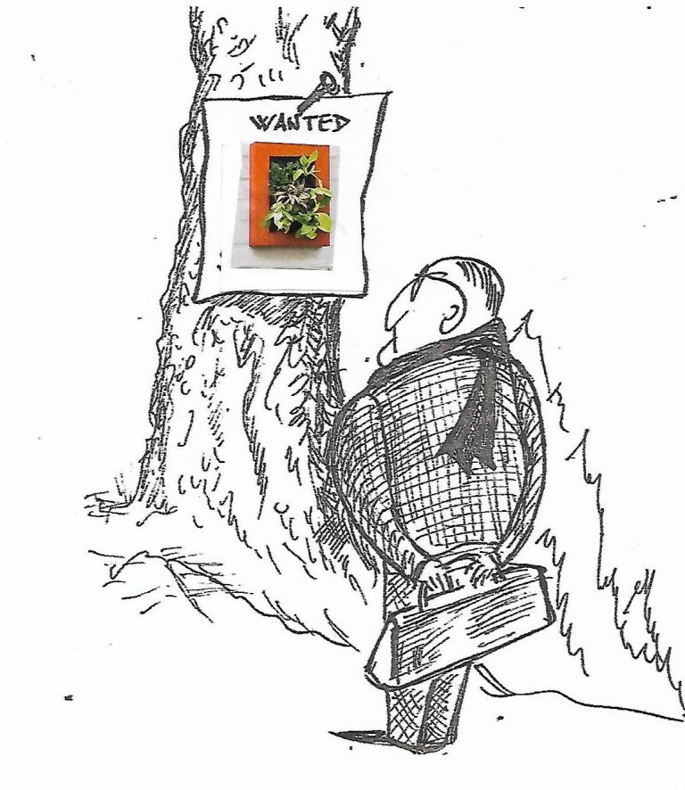 volantino