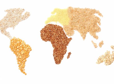 Assosementi e Fao insieme per la sicurezza alimentare