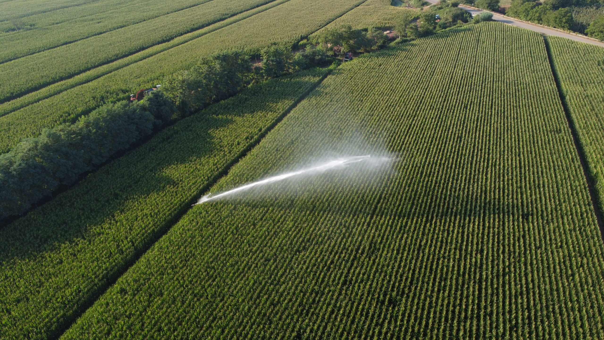 Irrisat