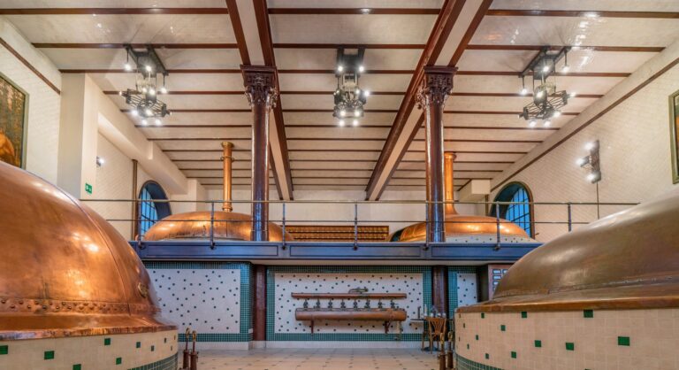 agricoltura rigenerativa