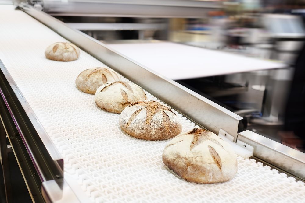 Baked breads on production line at bakery