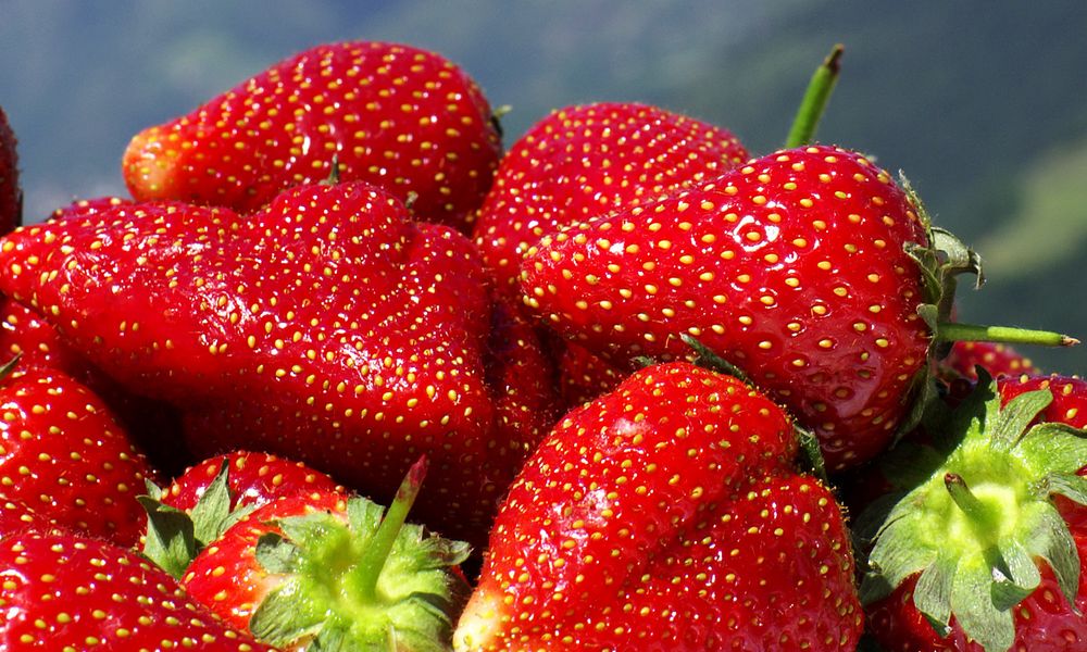 shutterstock_1394791