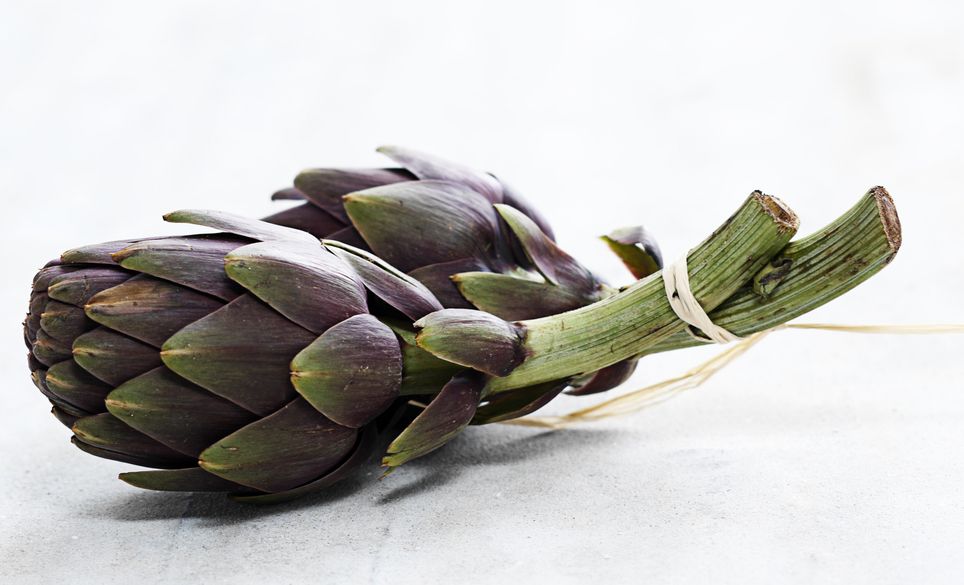 shutterstock_5406961