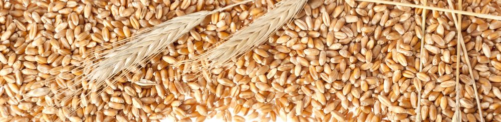 shutterstock_82868086