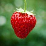 shutterstock_95066410