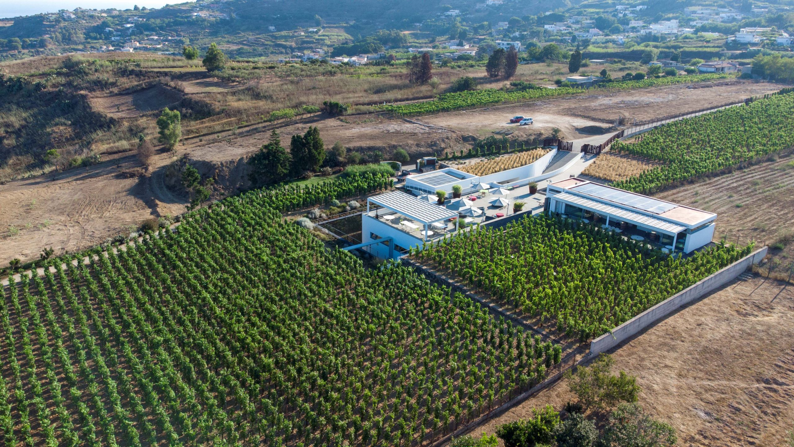 Tenuta di Castellaro