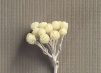 Le nuove proposte di Abet Laminati a Interzum Abet Laminati Print Acoustics