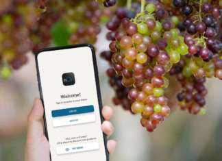 La cantinetta virtuale di Haier Europe Haier