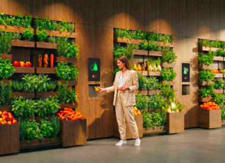 Brera | SKS laboratorio di consapevolezza