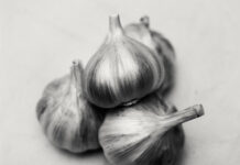 La materia prima come forma