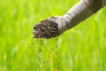Fertilizzanti: modifiche alla disciplina di settore Fertilizzanti