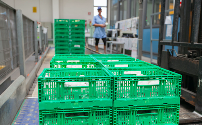 Imballaggi Imballaggi