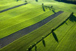 Agricoltura e ambiente