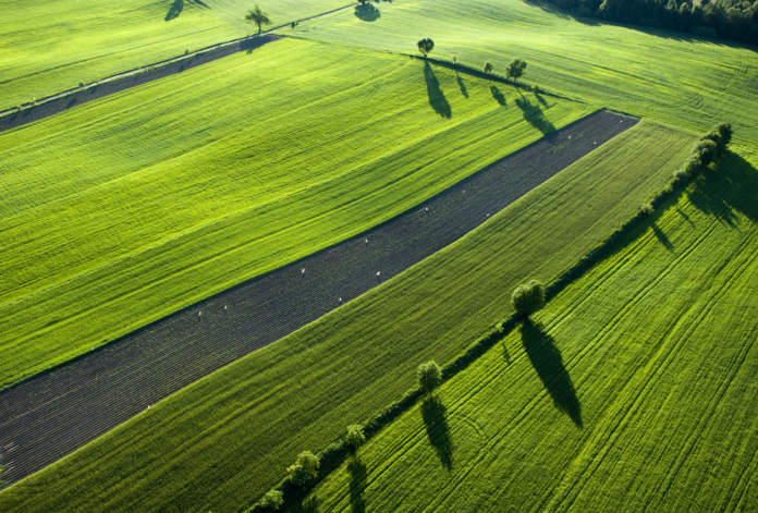 Agri Agricoltura e ambiente