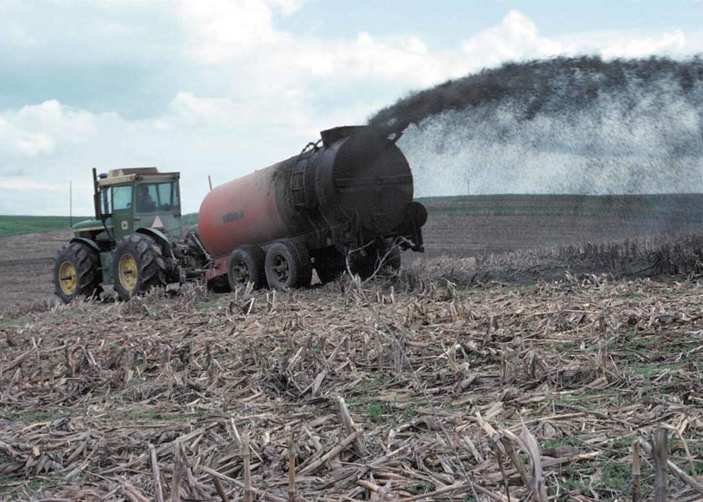 Fanghi in agricoltura