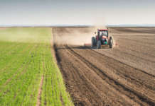 Interventi di bonifica: le modalità operative per le aree agricole e di allevamento Bonifica aree agricole