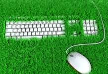 Comunicazione ambientale: armonizzati gli obblighi nell’Unione europea Comunicazione ambientale