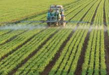 Fertilizzanti