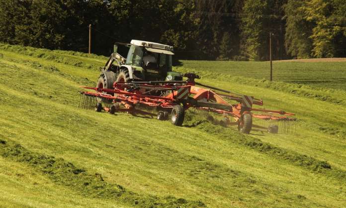 Bando Isi agricoltura