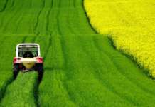 Bando Isi Agricoltura