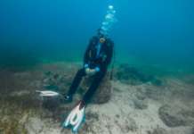 Selezioni interne per i Vvf: regolamentate le modalità Selezione interne per i Vvf