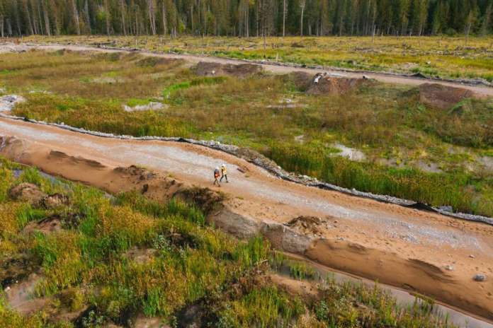 Analisi di rischio sanitaria e ambientale Analisi di rischio sanitaria e ambientale