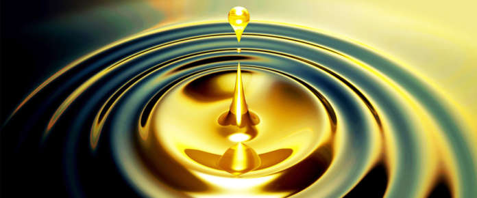 CONOE Oli vegetali e animali esausti