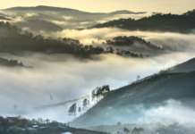 Al via l’ottavo Piano generale per l’ambiente