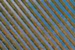 Finanziamenti per l'agrivoltaico