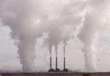 Compensazione costi CO2