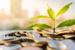 Attività economiche ecosostenibili
