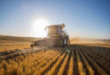 Nuova Sabatini: aggiornate le certificazioni ambientali