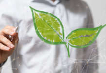 Piano d’azione dei consumi nella Pa: come raggiungere la sostenibilità ambientale Piano dazione dei consumi nella Pa