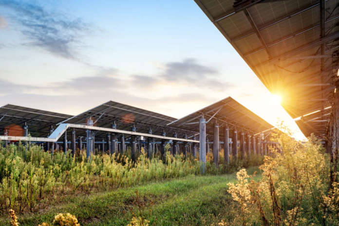 Impianto agrivoltaico: si può ricorrere alla Pas?