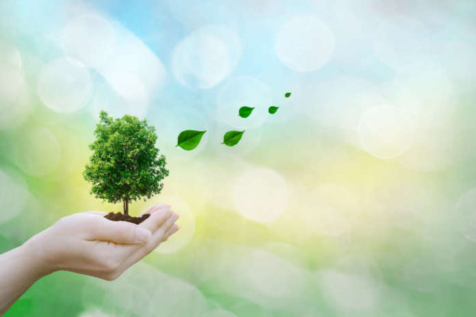 Ecology concept human hands holding big plant tree leaves with o Programma 2023_2025 Ecolabel e Ecoaudit