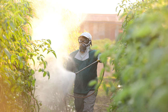 Esposizione ad agenti cancerogeni o mutageni Esposizione ad agenti cancerogeni o mutageni
