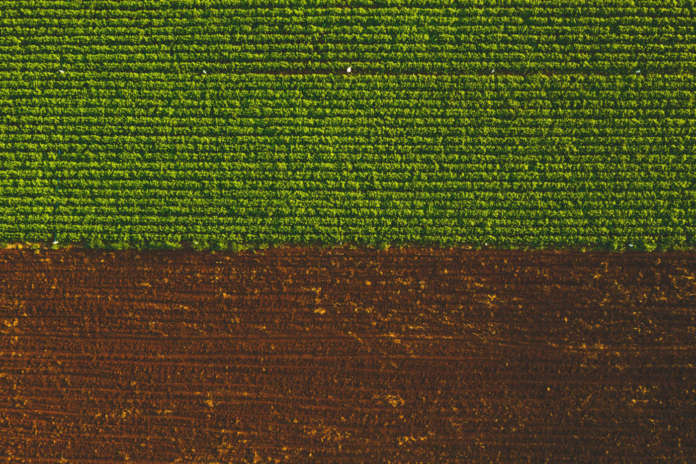 Bonifiche in aree agricole Bonifiche in aree agricole