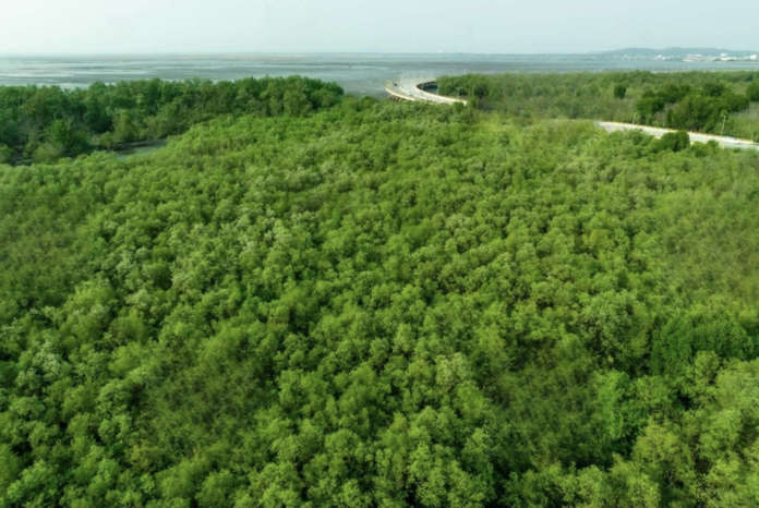 Cattura e stoccaggio di CO2