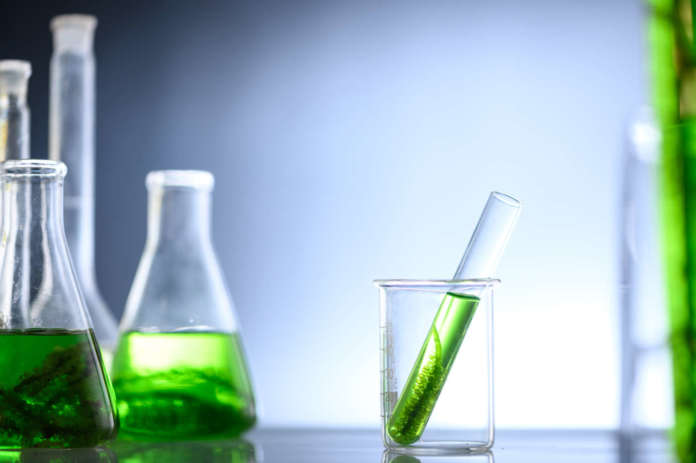 Sostenibilità dei biocombustibili