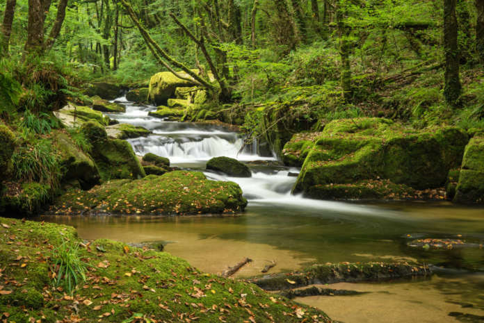 Contributi alle Regioni per ambiente ed efficientamento